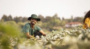 Dicas Para O Pequeno Produtor Rural Melhorar Os Resultados Da Fazenda