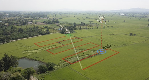 uso de drones para controle de plantações em uma fazenda