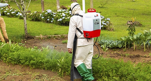 agricultor usando um pulverizador à bateria da Toyama em sua plantação