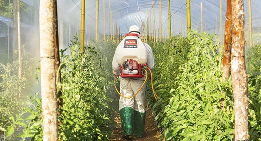 agricultor usando um pulverizador costal da Toyama em sua plantação