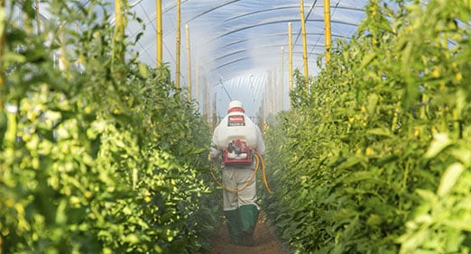 homem passando pesticida em uma plantação