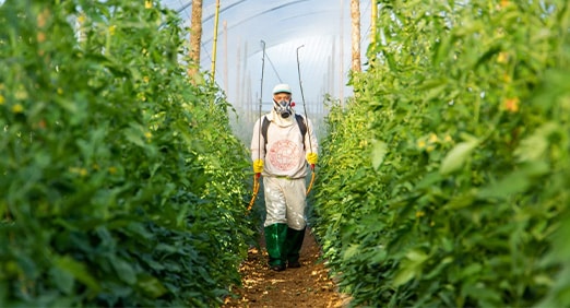 agricultor com roupa de segurança em meio a uma plantação