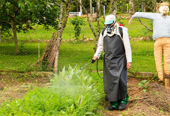 Homem fazendo a adubação de uma horta com um pulverizador da Toyama.