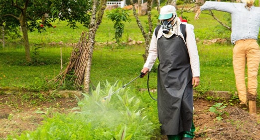 Homem fazendo a adubação de uma horta com um pulverizador da Toyama.