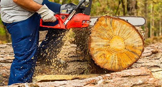 Homem usando uma motosserra da Toyama para cortar um pedaço de tronco de árvore.