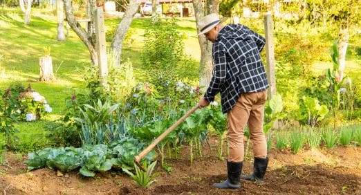 Agricultor cuidando de sua horta usando uma enxada.