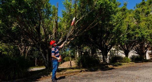 Homem usando um podador de altura da Toyama para podar suas plantas.