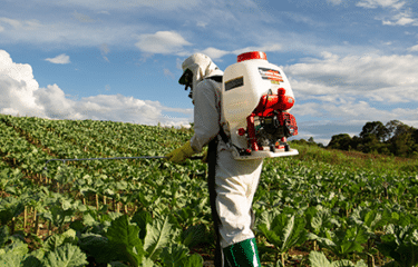 Pulverização agrícola com Toyama veja como escolher o melhor método para sua lavoura