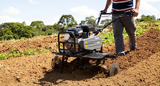 Entressafra quais os principais cuidados o produtor rural deve ter