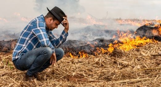 Fazendeiro desesperado pois o fogo queimou em dias secos, destruindo a fazenda. Aprenda a proteger sua propriedade rural de incêndios na seca