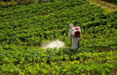 Produtividade no campo equipamentos Toyama que mantêm a operação rural funcionando