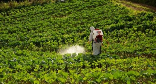 Produtividade no campo equipamentos Toyama que mantêm a operação rural funcionando